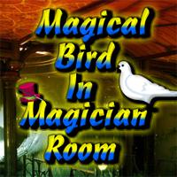 Magical Bird In Magician Room