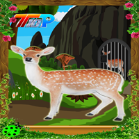 play Top10 Rescue The Spotted Deer