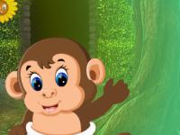 play Rescue The Baby Monkey