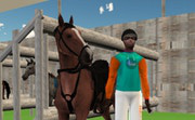 play Horse Jumping Show 3D