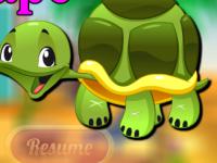 play Turtle Escape