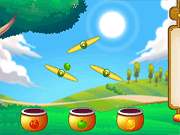 play Fruit Collector