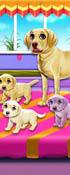 play Labrador Quadruplets Newborn Caring
