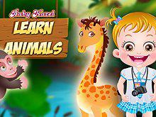 play Baby Hazel Learn Animals