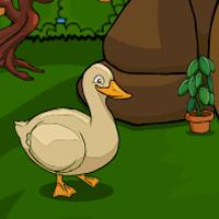 Games2Jolly-Cute-Duck-Escape