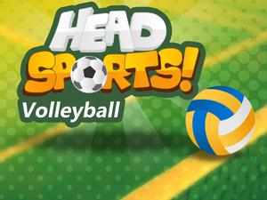 play Head Sports Volleyball