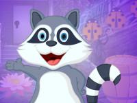 play Delighted Raccoon Escape