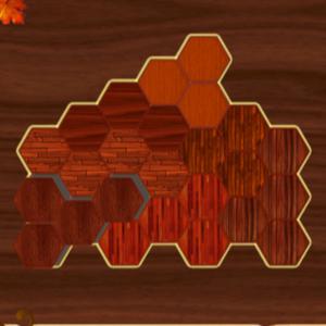 play Woody Block Hexa Puzzle