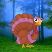 play Thanksgiving Missing Turkey Escape