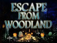 play Top10 Escape From Woodland