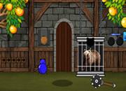 play The Grizzly Bear Rescue