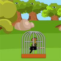 play 8B Woodpecker Escape
