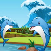 play Dolphin-Dice-Race