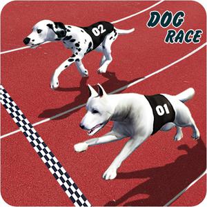 play Crazy Dog Racing Fever Game 3D