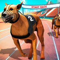 play Crazy Dog Racing