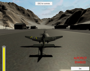 play Flight Simulator (With Autopilot)