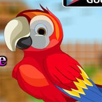 Avmgames-Cute-Parrot-Escape