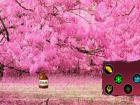 play Lovely Blossom Forest Escape