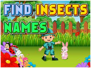 play Find Insects Names