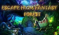 play Top10 Escape From Fantasy Forest