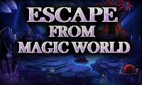 play Top10 Escape From Magic World