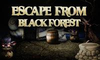 play Top10 Escape From Black Forest