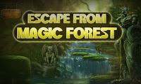 play Top10 Escape From Magic Forest