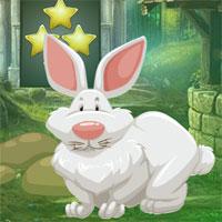 play G4K-Old-Age-Rabbit-Escape