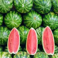 play Watermelon-Hidden-Numbers