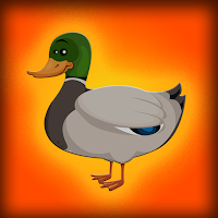 play G2J Baby Mallard Duck Escape