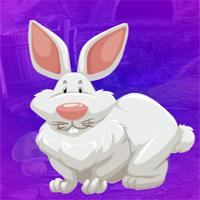 play Games4King Anile Bunny Escape