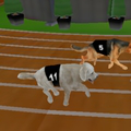 play Crazy Dog Racing Fever