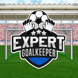 play Expert Goalkeeper