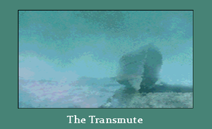 play The Transmute