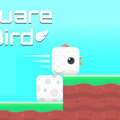 play Square Bird