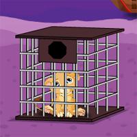 play Games2Jolly-Barbary-Lion-Cub-Escape