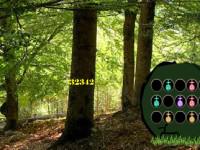 play Growth Tree Forest Escape