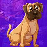 play Labrador Retriever Escape