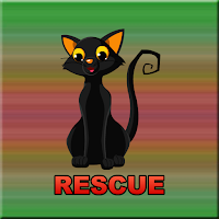 play G2J Cute Black Kitten Rescue