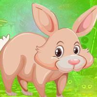 play Burly Rabbit Escape