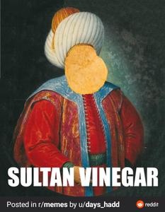8.Sultan Vinegar And The Last Of The Salts. G