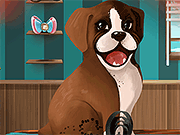 play Become A Puppy Groomer