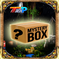 play Find The Mystery Mask Box