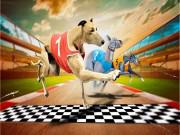 play Crazy Dog Racing Game 2020