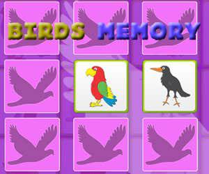 play Kids Memory Game - Birds
