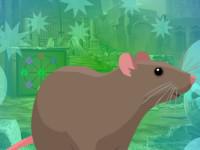 play Rodent Brown Rat Escape