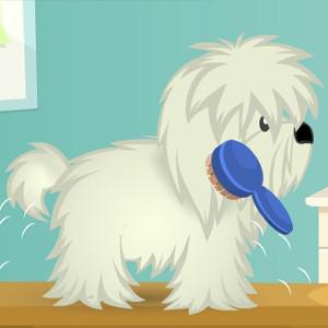 play Cutie Pet Care