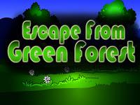 play Top10 Escape From Green Forest