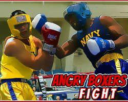 play Angry Boxers Fight