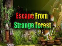 play Top10 Escape From Strange Forest